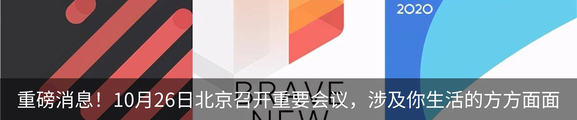 新闻动态